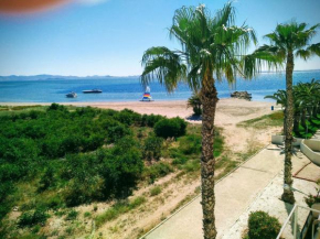 Estudio a pie de playa